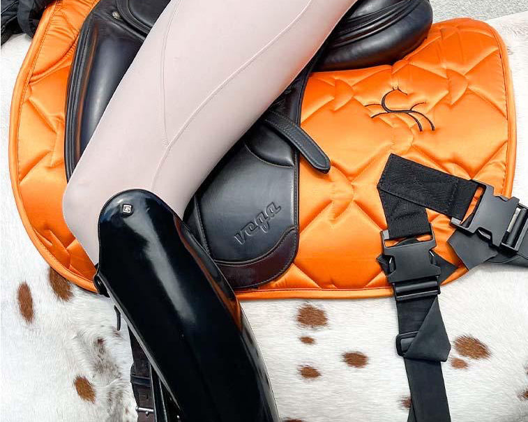 CORE by D: Next-Generation Training Aids for Stronger, More Balanced Horses