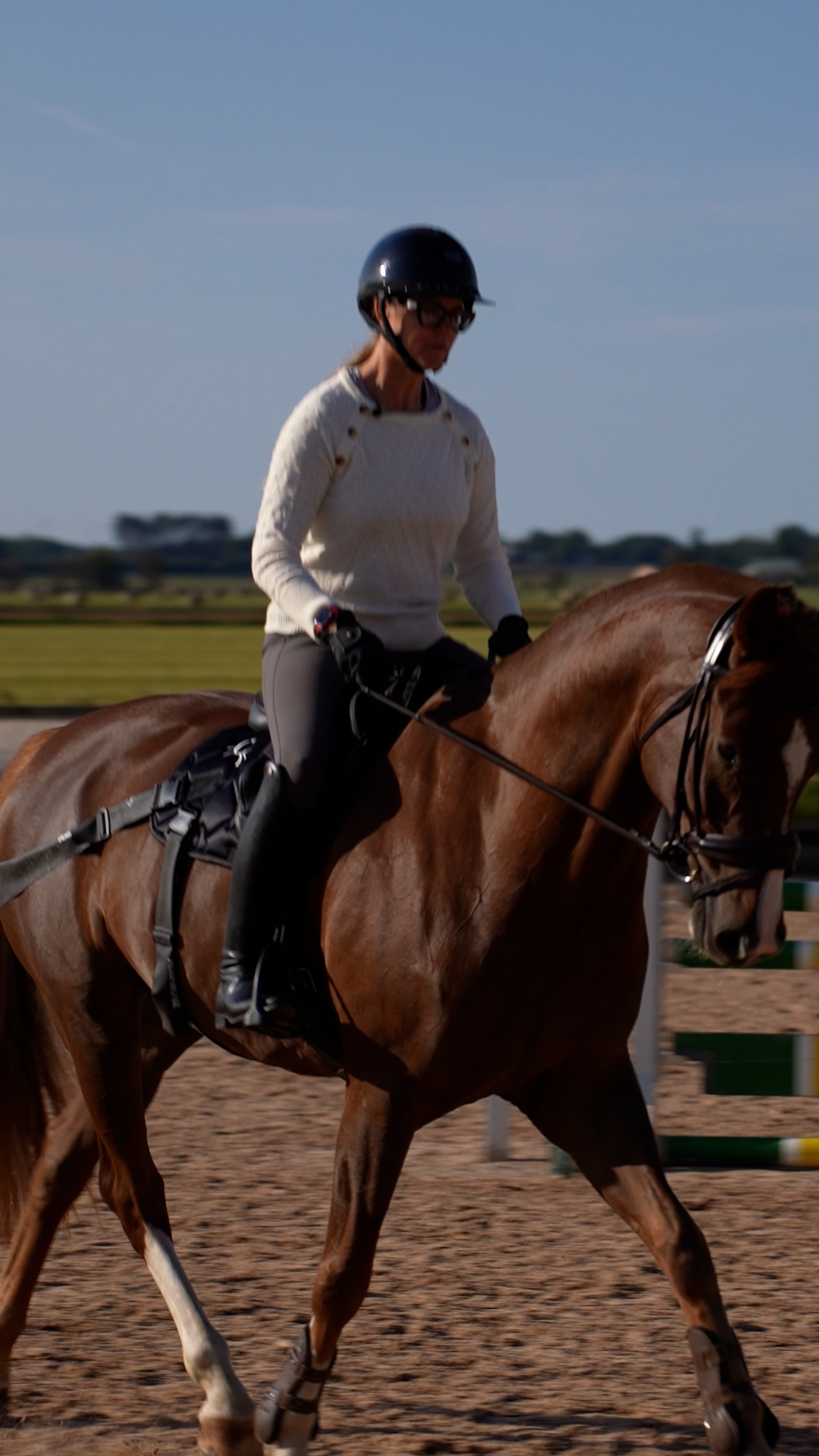 Horse being lunged wearing CORE by D saddle pad with elastic training bands