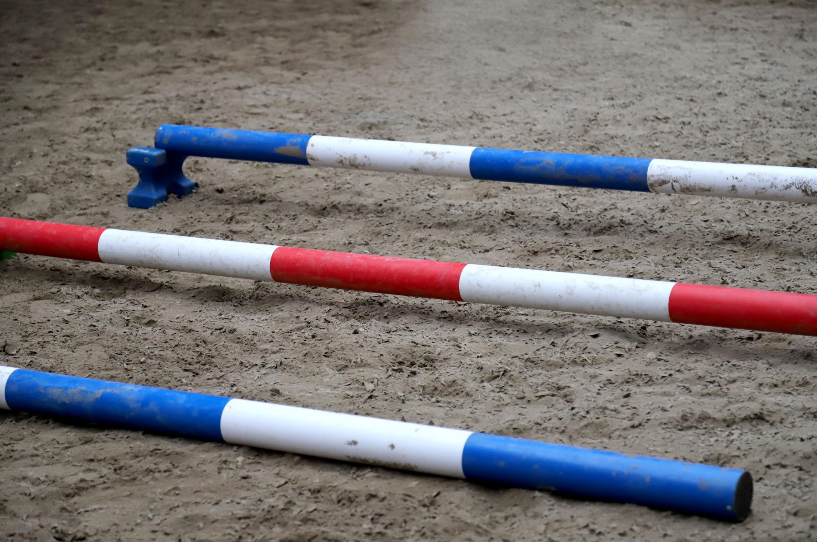 Pole Work for Horses: A Groundwork Guide for a Stronger Back and Better Balance