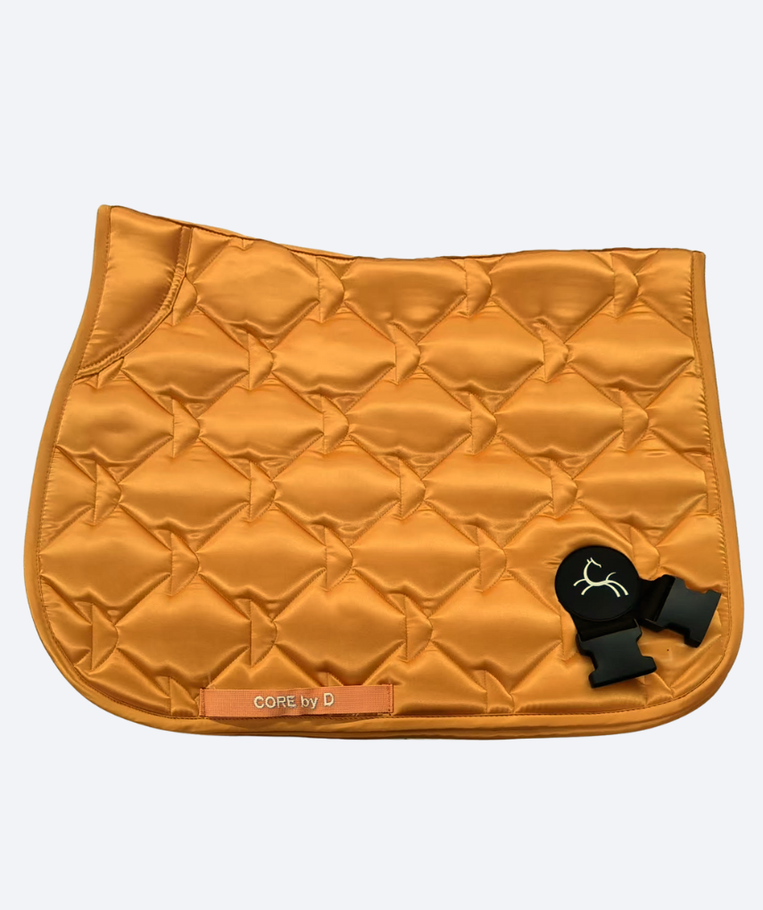 CORE - ENDAST SCHABRAK