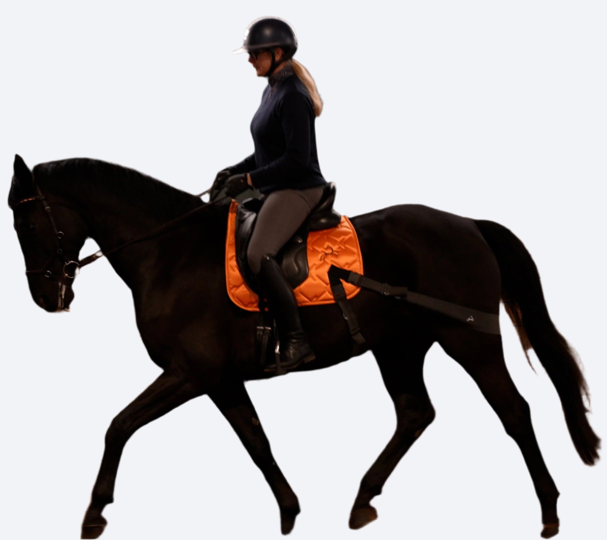 ORANGE_D_RIDING_BLACK_HORSE_IN_RIDING_HALL4373.MP4.01_26_26_15.Still001.jpg