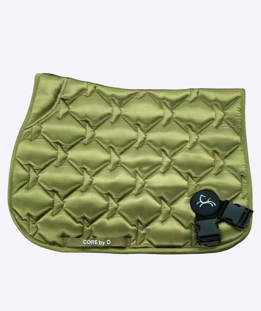 CORE - ENDAST SCHABRAK