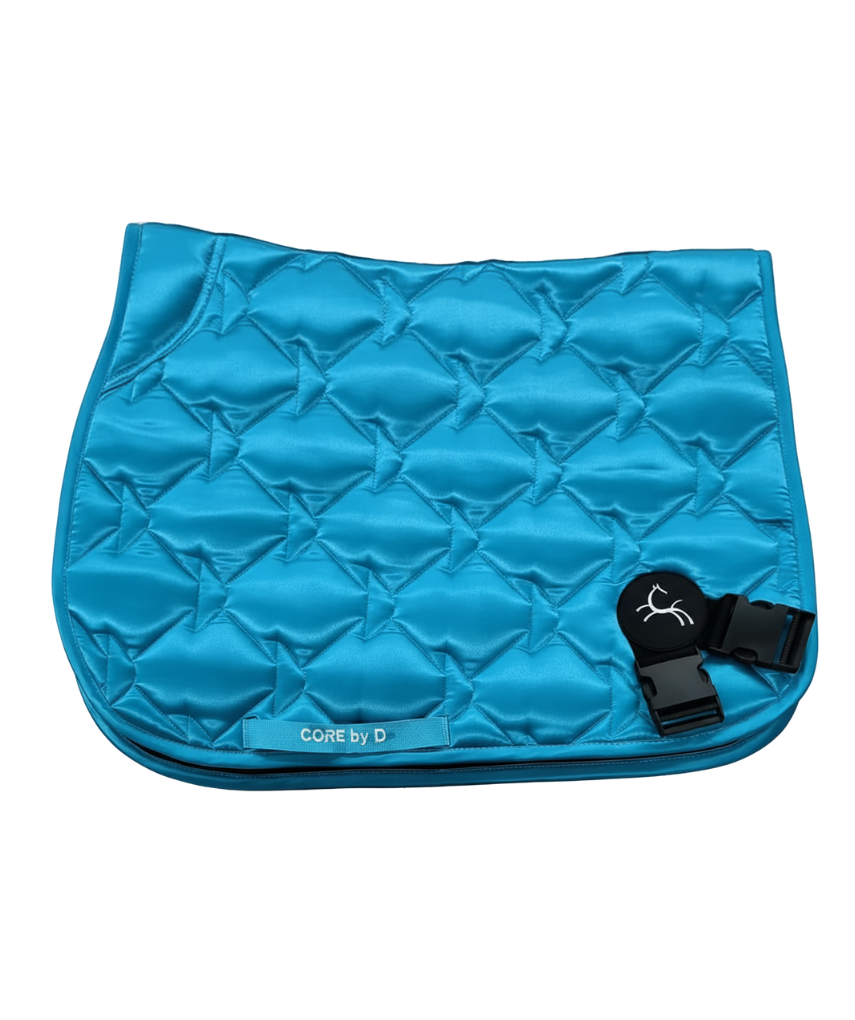 CORE - ENDAST SCHABRAK